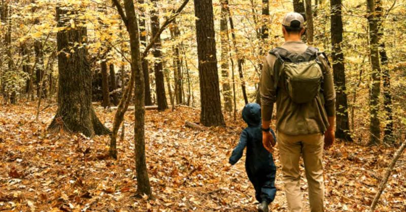 Father and son walking through a forest