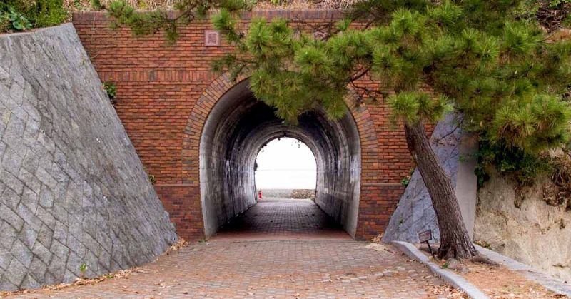 Looking through the tunnel