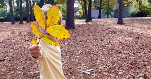 Child holding a leaf