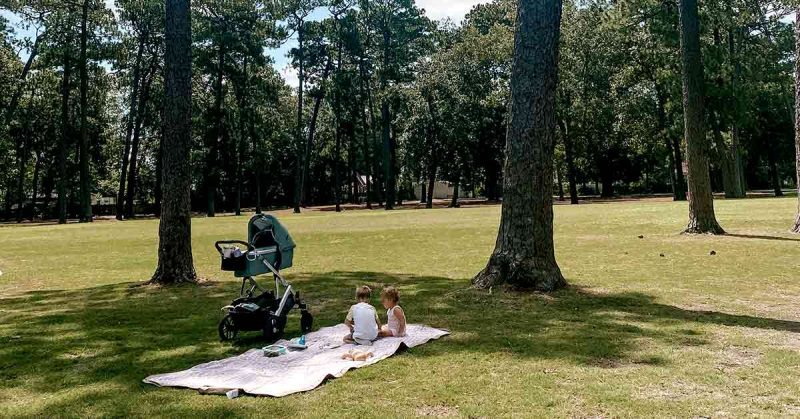 Children in a park under a tree