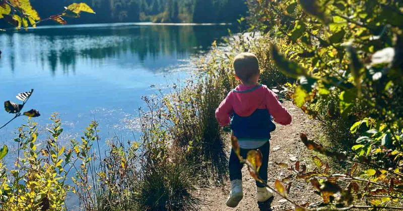 Little boy exploring the outdoors