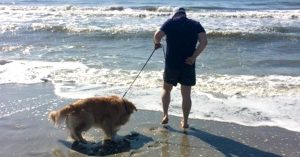 A man and dog on beach