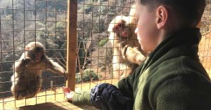 Kristi’s son and a monkey