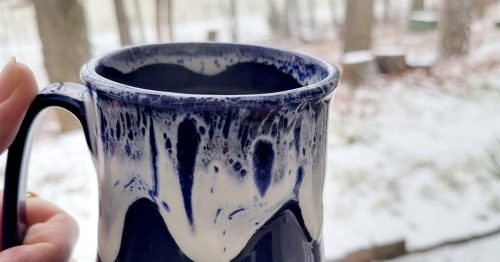 Close-up of a hand holding a blue and white ceramic mug near a snowy window with trees outside