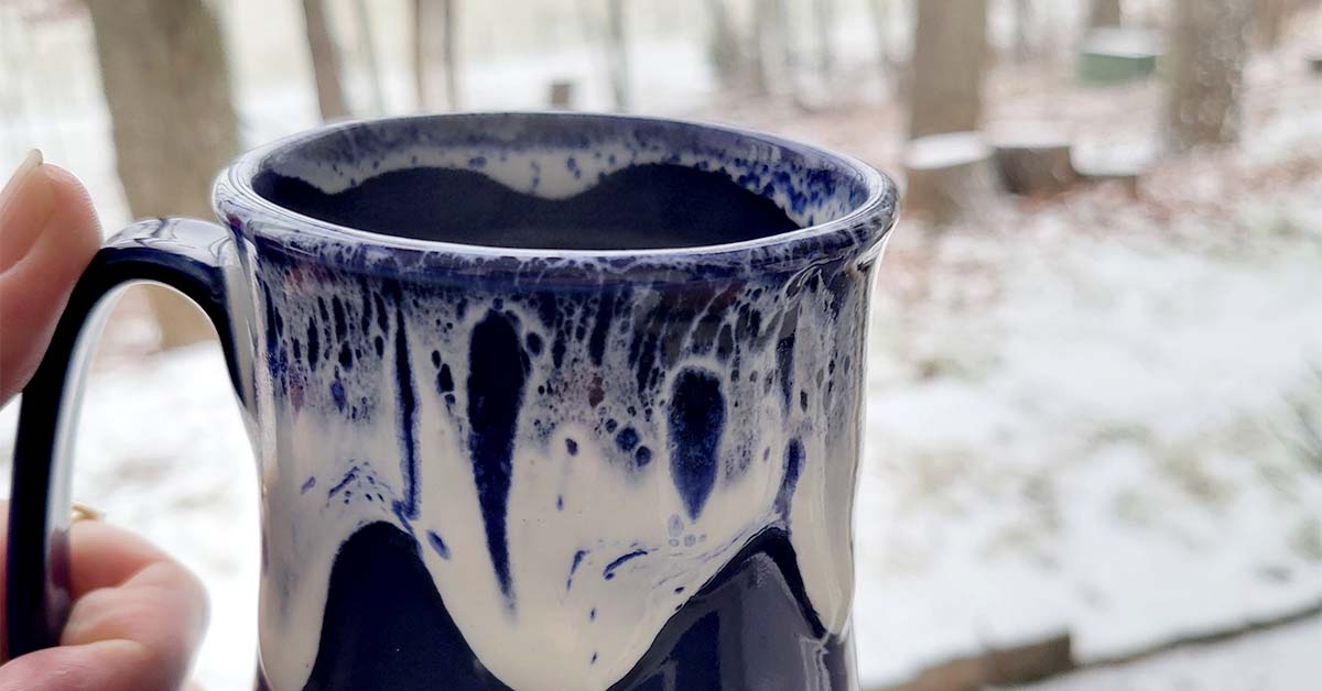 Close-up of a hand holding a blue and white ceramic mug near a snowy window with trees outside