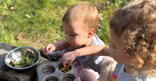 Two toddlers explore nature using muffin tin and bowl filled with flowers and leaves outdoors.