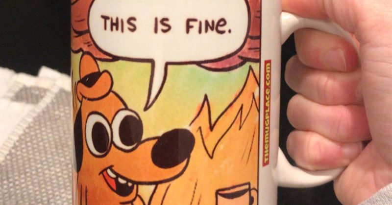 A hand holds a coffee mug showing a cartoon dog surrounded by flames with a speech bubble that reads, “This is fine,” in a kitchen setting.