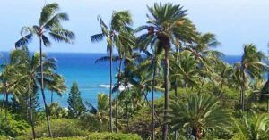 Palm trees sway above a lush coastline with blue ocean waves under a clear sky