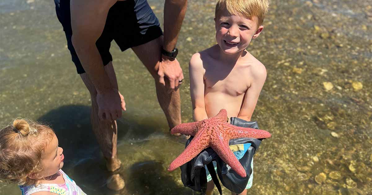 Sydney’s child holding a large starfish while standing in shallow water.