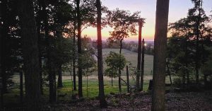 Sunset viewed through tall trees overlooking an open field, with warm light glowing on the horizon.