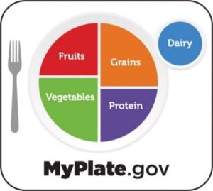 A plate with fruit, grains, vegetables, protein, and dairy written on it