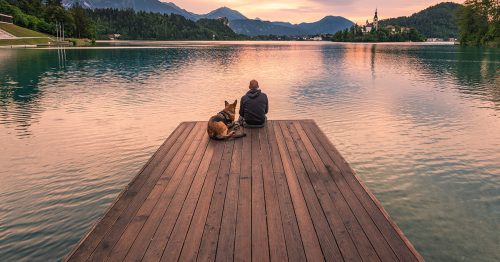 Man sitting with dog on dock